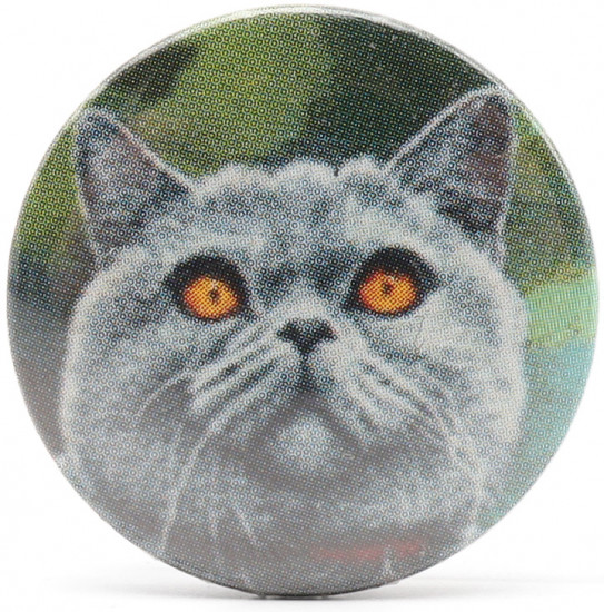 Игольница «Британский Кот»