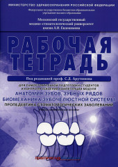 Анатомия зубов, зубных рядов