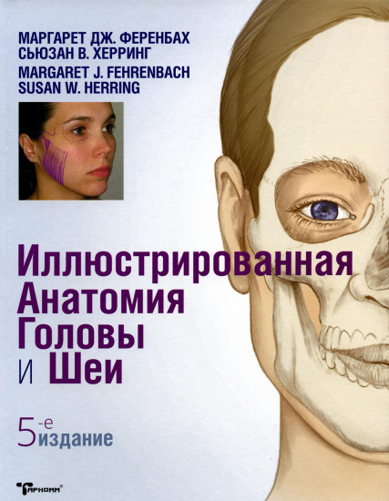 Иллюстрированная анатомия головы и шеи