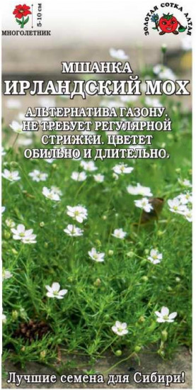 Мшанка шиловидная «Ирландский мох»
