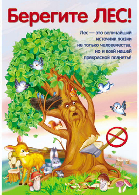Плакат «Берегите лес!» | Познавательные плакаты