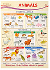 Плакат «Animals»