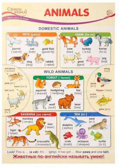 Плакат «Animals»