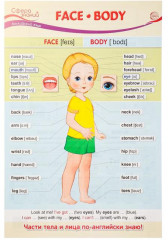 Плакат «Face. Body»