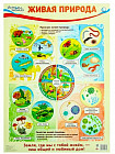 Плакат «Живая природа»