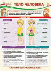 Плакат «Тело человека»