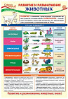 Плакат «Развитие и размножение животных»