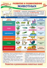 Плакат «Развитие и размножение животных»
