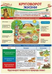 Плакат «Круговорот жизни»