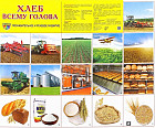 Плакат демонстрационный «Хлеб всему голова»