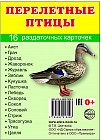 Перелётные птицы. 16 раздаточных карточек с текстом
