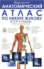 Популярный анатомический атлас по Никите Жукову