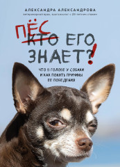 Пёс его знает! Что в голове у собаки