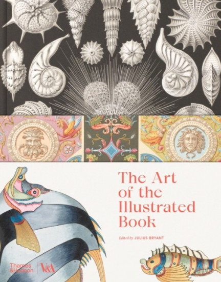 Art of the illustrated book