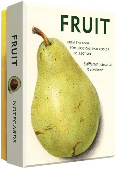 Fruit