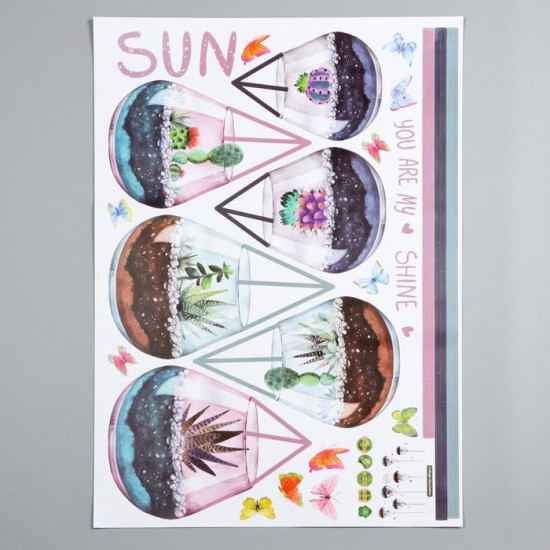 Наклейка «Флорариумы с суккулентами»