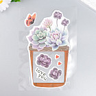 Наклейка на выключатель «Суккуленты в горшочке»