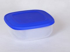 Набор емкостей для хранения продуктов