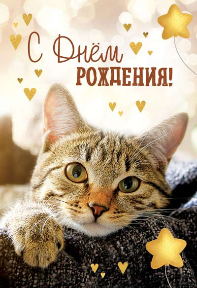 Открытка «С днем рождения!» | Открытки среднего формата