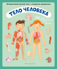 Тело человека