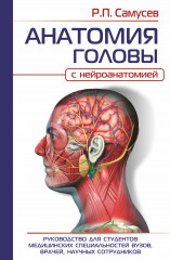 Анатомия головы с нейроанатомией