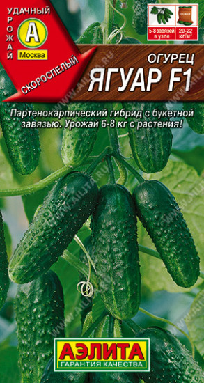 Огурец «Ягуар F1»