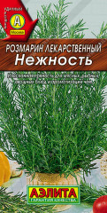Розмарин «Нежность»