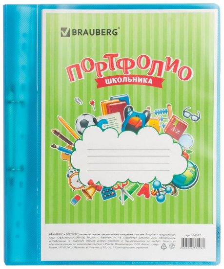 Папка-портфолио для школьника