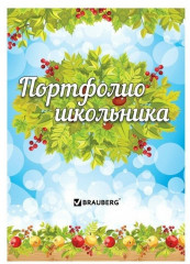 Набор вкладышей для портфолио школьника
