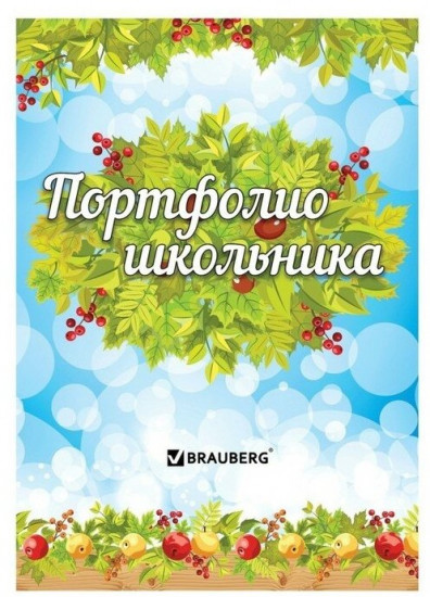 Набор вкладышей для портфолио школьника