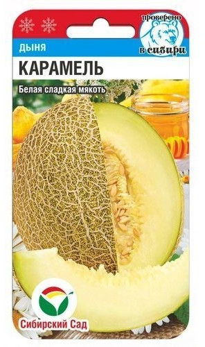Дыня «Карамель»