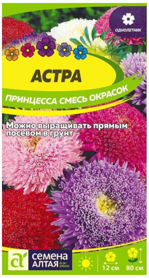 Астра «Принцесса, смесь окрасок»