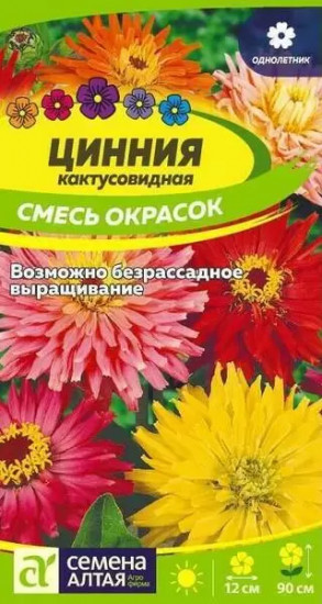 Цинния «Кактусовидная»