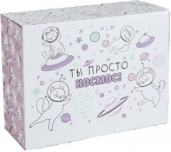 Коробка-пенал «Ты просто космос»