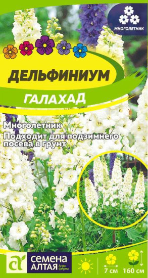 Дельфиниум «Галахад»