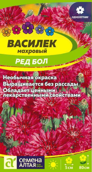 Василек «Ред бол»