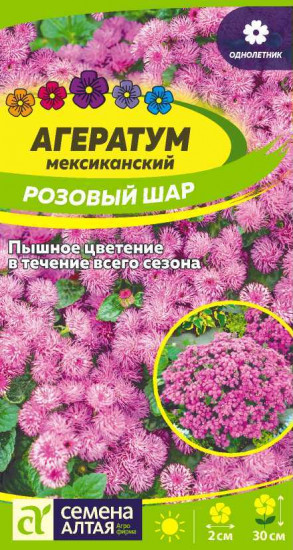 Агератум «Розовый шар»