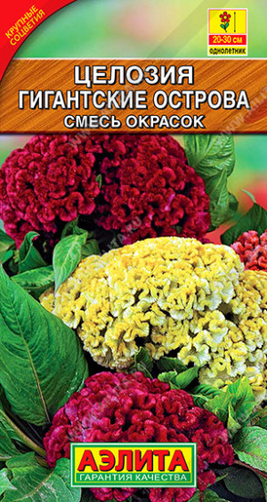Целозия «Гигантские острова»