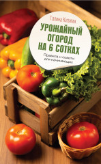 Урожайный огород на 6 сотках