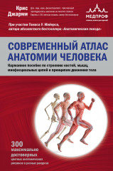Современный атлас анатомии человека