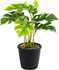 Растение искусственное декоративное