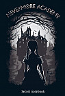 Блокнот «Neverrmore Academy. Secret notebook»