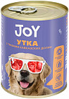 утка