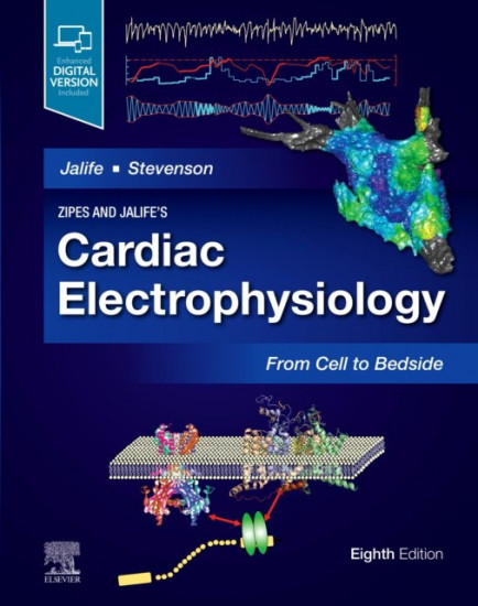 Cardiac Electrophysiology