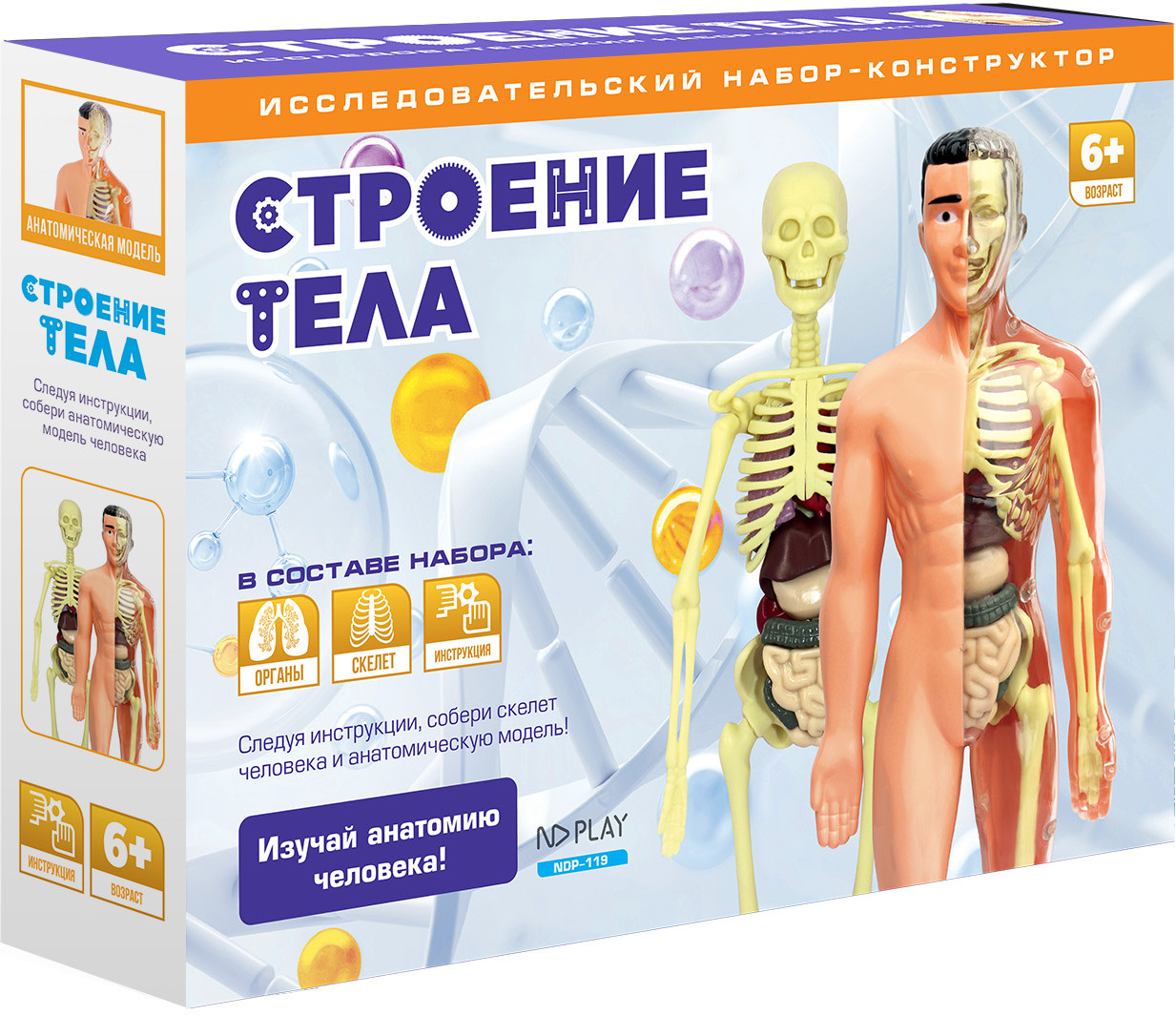 Набор-конструктор исследовательский «Строение тела» | ND Play
