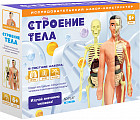 Набор-конструктор исследовательский «Строение тела»