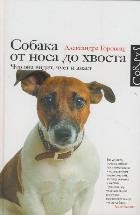 Собака от носа до хвоста: что она видит, чует и знает | Corpus