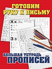 Готовим руку к письму. Большая тетрадь прописей