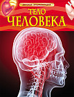 Тело человека