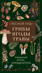 Лесной гид